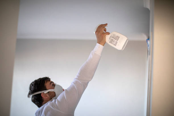 Best Black Mold Remediation in Honeoye Falls, NY