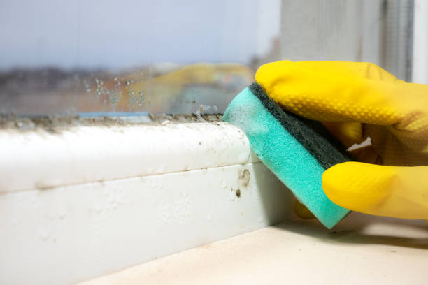 Best HVAC Mold Remediation in Honeoye Falls, NY